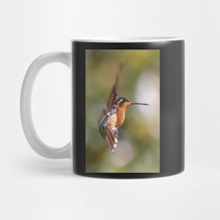 Hummingbird Acrobatics Mug